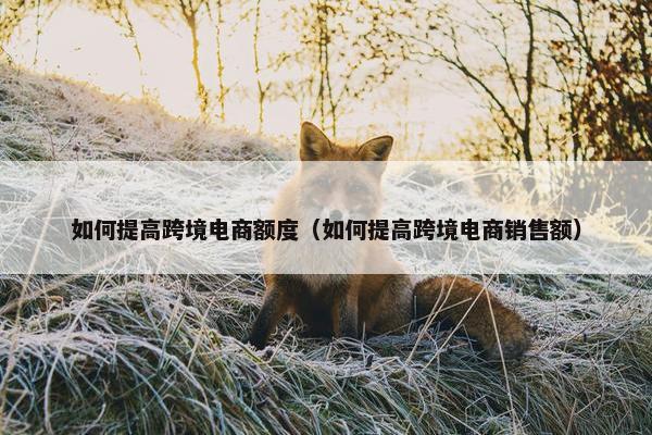 如何提高跨境电商额度（如何提高跨境电商销售额）