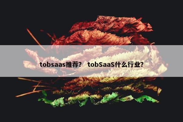 tobsaas推荐？ tobSaaS什么行业？