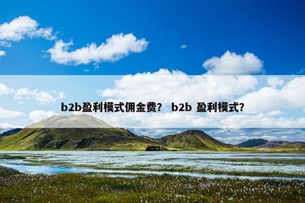 b2b盈利模式佣金费？ b2b 盈利模式？
