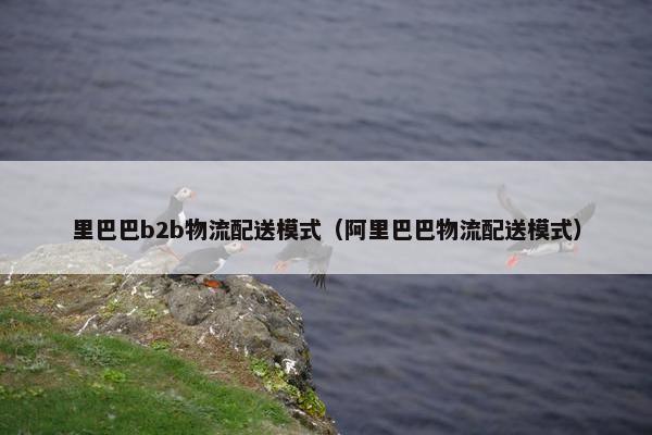 里巴巴b2b物流配送模式（阿里巴巴物流配送模式）