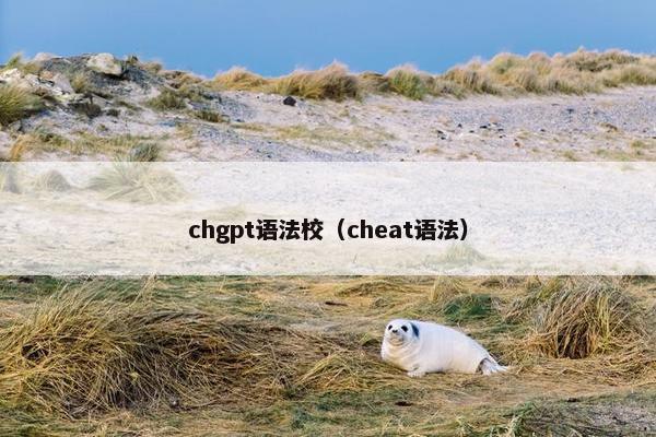 chgpt语法校（cheat语法）