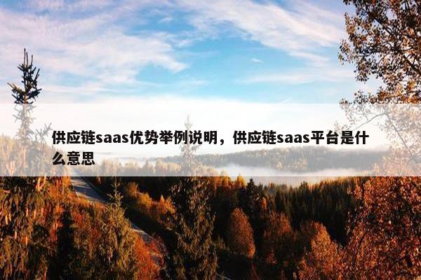 供应链saas优势举例说明，供应链saas平台是什么意思