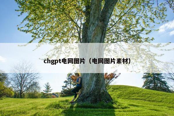 chgpt电网图片（电网图片素材）