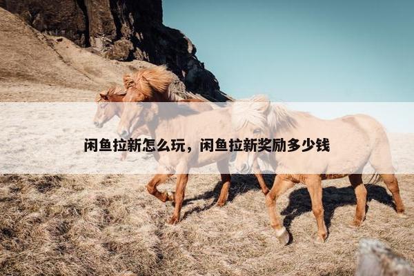 闲鱼拉新怎么玩，闲鱼拉新奖励多少钱