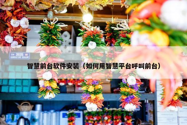 智慧前台软件安装（如何用智慧平台呼叫前台）