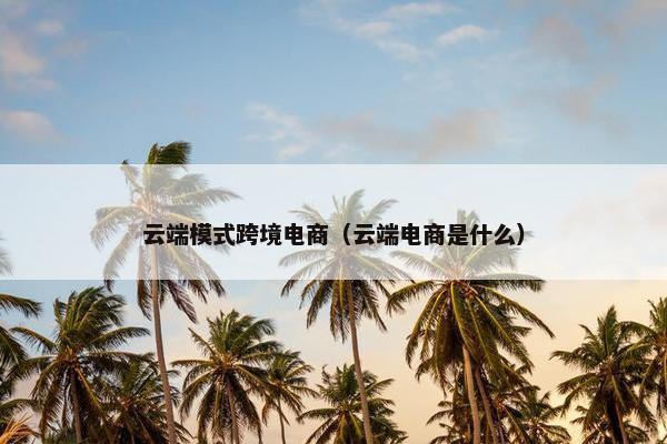 云端模式跨境电商（云端电商是什么）