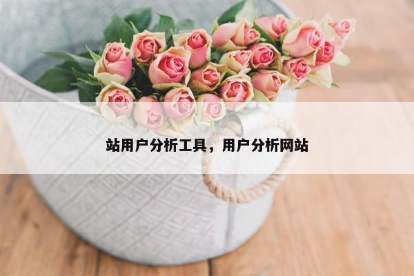 站用户分析工具，用户分析网站