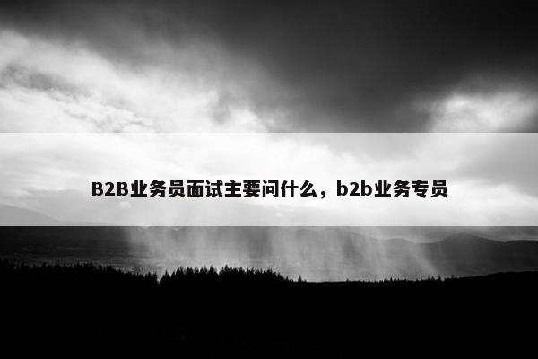 B2B业务员面试主要问什么，b2b业务专员