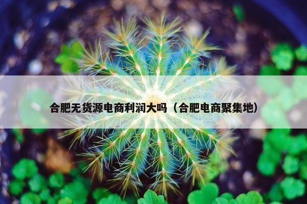 合肥无货源电商利润大吗（合肥电商聚集地）