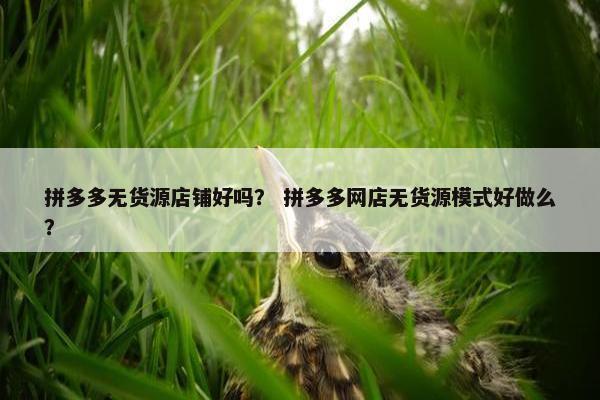 拼多多无货源店铺好吗？ 拼多多网店无货源模式好做么？