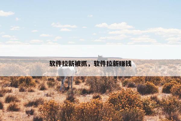 软件拉新被抓，软件拉新赚钱