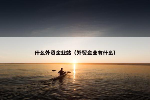 什么外贸企业站（外贸企业有什么）