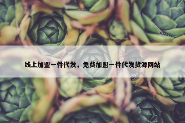 线上加盟一件代发，免费加盟一件代发货源网站