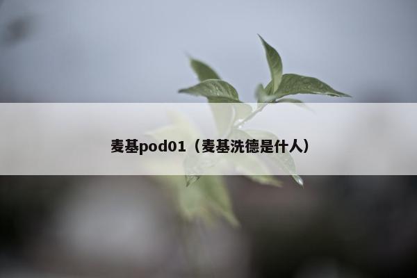 麦基pod01（麦基洗德是什人）