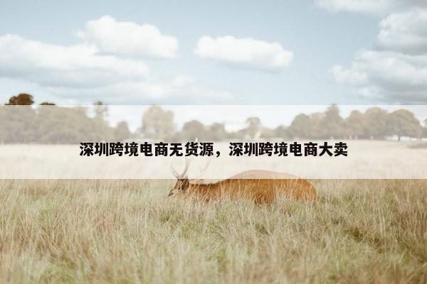 深圳跨境电商无货源，深圳跨境电商大卖