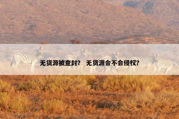 无货源被查封？ 无货源会不会侵权？