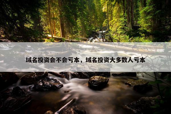 域名投资会不会亏本，域名投资大多数人亏本
