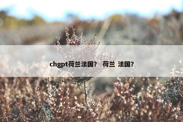 chgpt荷兰法国？ 荷兰 法国？