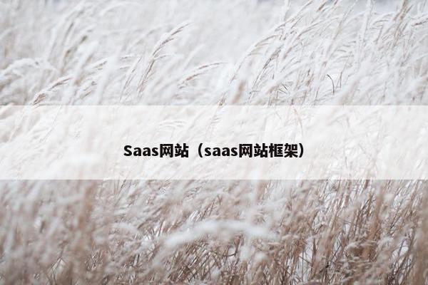 Saas网站（saas网站框架）