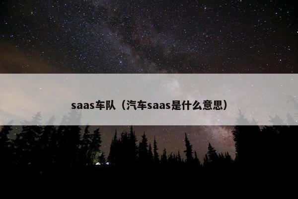 saas车队（汽车saas是什么意思）