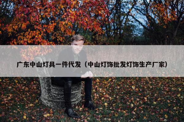 广东中山灯具一件代发（中山灯饰批发灯饰生产厂家）