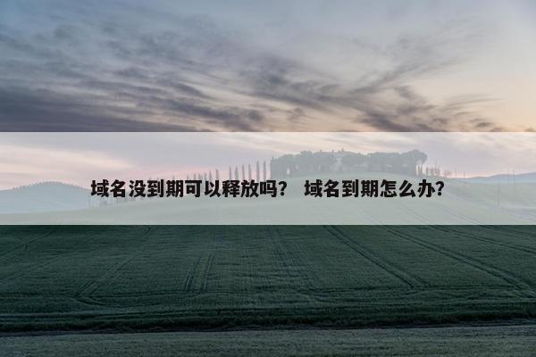 域名没到期可以释放吗？ 域名到期怎么办？