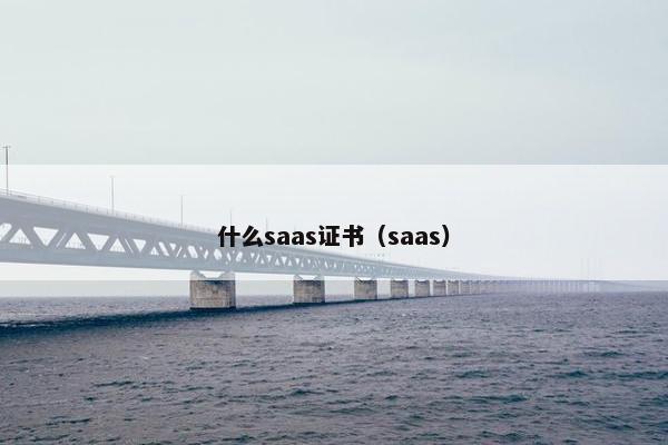 什么saas证书（saas）