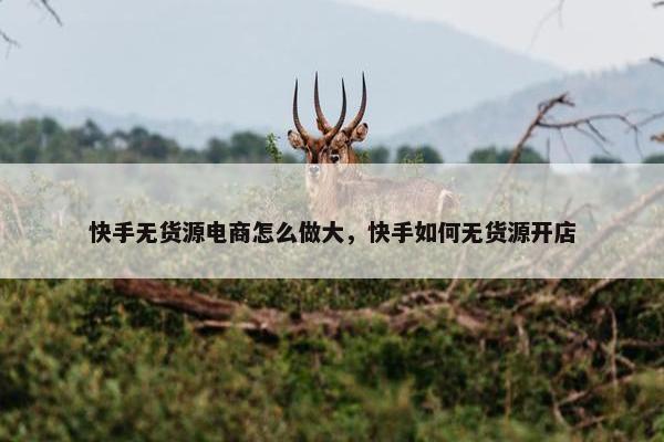 快手无货源电商怎么做大，快手如何无货源开店