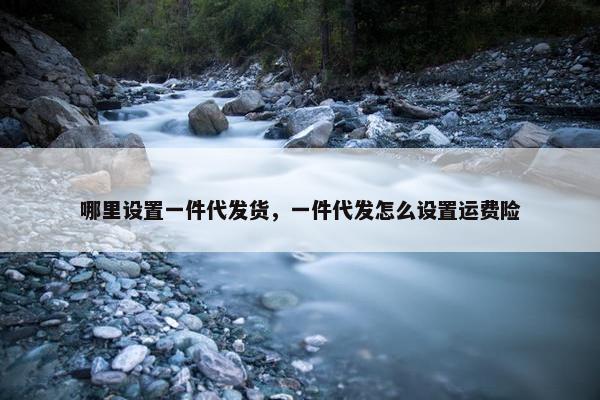 哪里设置一件代发货，一件代发怎么设置运费险