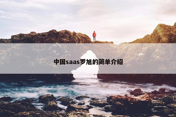 中国saas罗旭的简单介绍