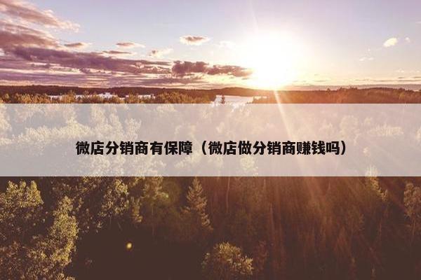 微店分销商有保障（微店做分销商赚钱吗）