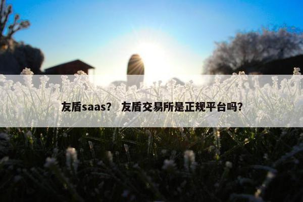 友盾saas？ 友盾交易所是正规平台吗？