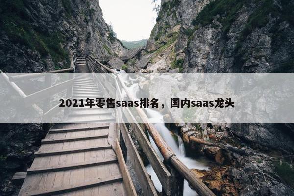 2021年零售saas排名，国内saas龙头