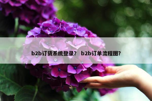 b2b订货系统登录？ b2b订单流程图？