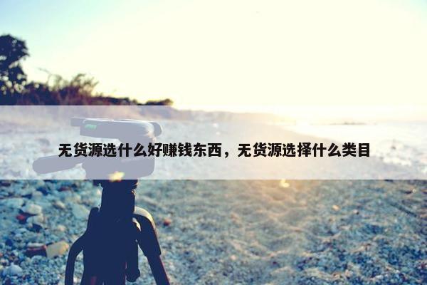 无货源选什么好赚钱东西，无货源选择什么类目