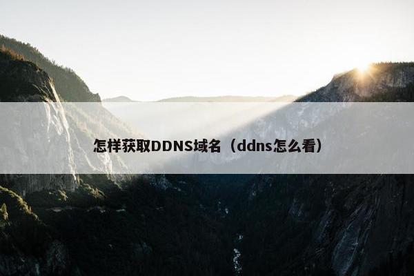 怎样获取DDNS域名（ddns怎么看）