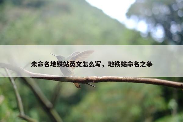 未命名地铁站英文怎么写，地铁站命名之争