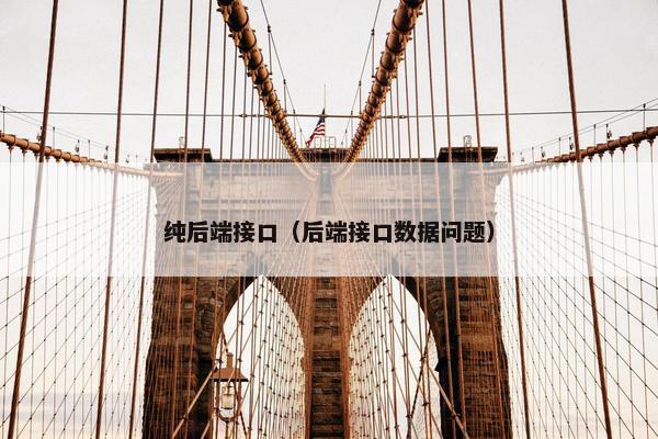 纯后端接口（后端接口数据问题）