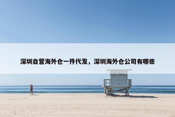 深圳自营海外仓一件代发，深圳海外仓公司有哪些