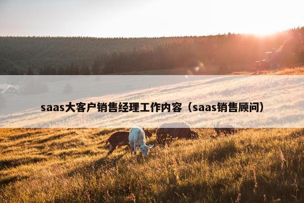 saas大客户销售经理工作内容（saas销售顾问）