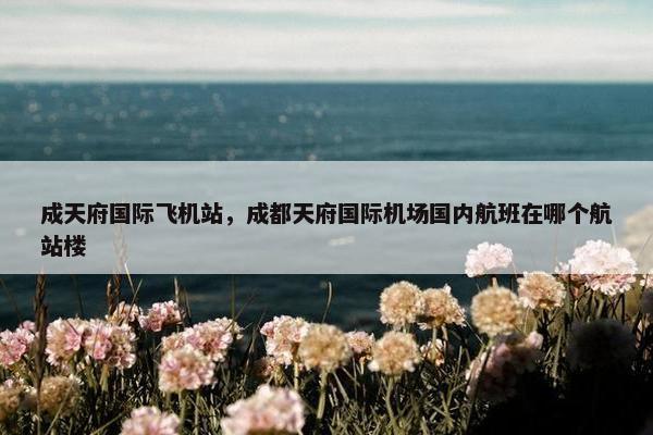 成天府国际飞机站，成都天府国际机场国内航班在哪个航站楼