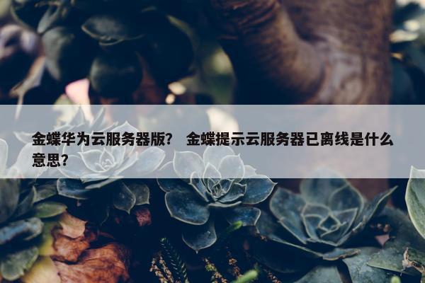 金蝶华为云服务器版？ 金蝶提示云服务器已离线是什么意思？