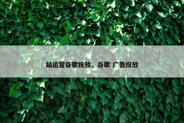 站运营谷歌投放，谷歌 广告投放