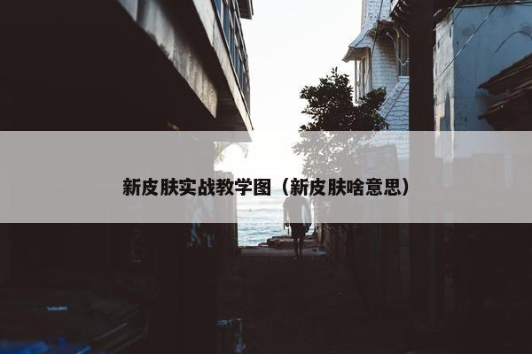 新皮肤实战教学图（新皮肤啥意思）