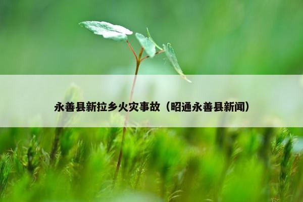 永善县新拉乡火灾事故（昭通永善县新闻）
