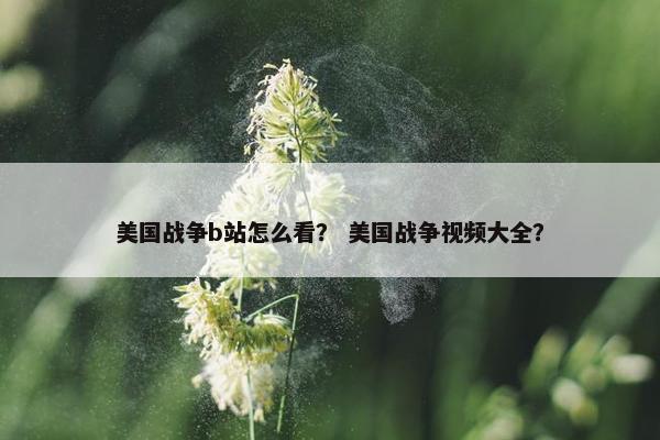 美国战争b站怎么看？ 美国战争视频大全？