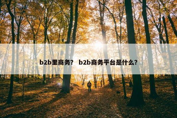 b2b里商务？ b2b商务平台是什么？