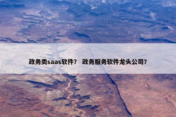 政务类saas软件？ 政务服务软件龙头公司？