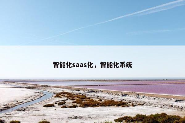 智能化saas化，智能化系统