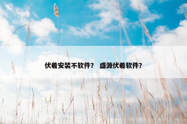 伏羲安装不软件？ 盛源伏羲软件？